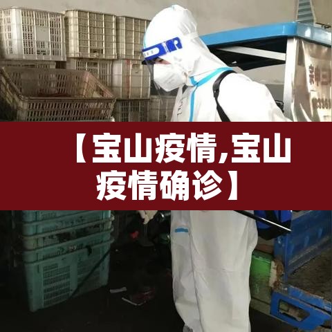 【宝山疫情,宝山疫情确诊】