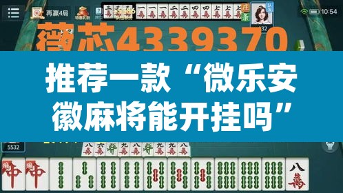 推荐一款“微乐安徽麻将能开挂吗	”(透视挂)辅助透视教程