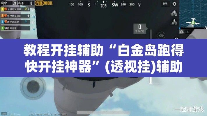 教程开挂辅助“白金岛跑得快开挂神器”(透视挂)辅助透视教程