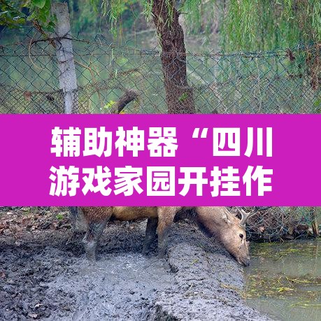 辅助神器“四川游戏家园开挂作弊”(透视挂)辅助透视教程