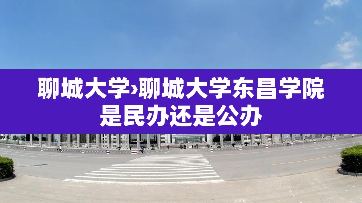 聊城大学›聊城大学东昌学院是民办还是公办