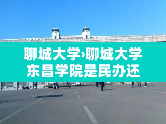 聊城大学›聊城大学东昌学院是民办还是公办