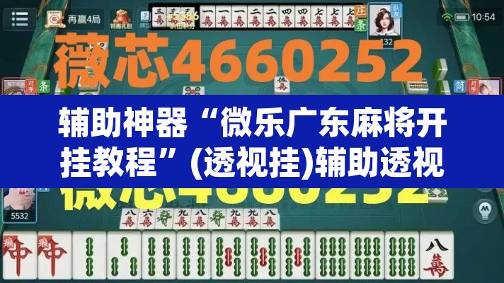 辅助神器“微乐广东麻将开挂教程”(透视挂)辅助透视教程