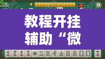 教程开挂辅助“微乐海南麻将小程序必赢神器”(透视挂)辅助透视教程