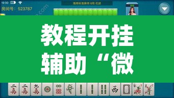 教程开挂辅助“微乐海南麻将小程序必赢神器	”(透视挂)辅助透视教程