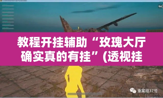 教程开挂辅助“玫瑰大厅确实真的有挂”(透视挂)辅助透视教程