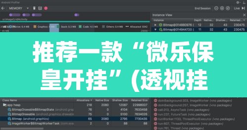 推荐一款“微乐保皇开挂	”(透视挂)辅助透视教程