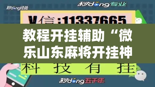 教程开挂辅助“微乐山东麻将开挂神器”(透视挂)辅助透视教程