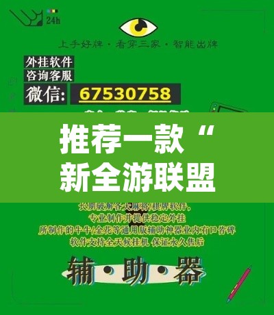 推荐一款“新全游联盟是不是有挂”(透视挂)辅助透视教程