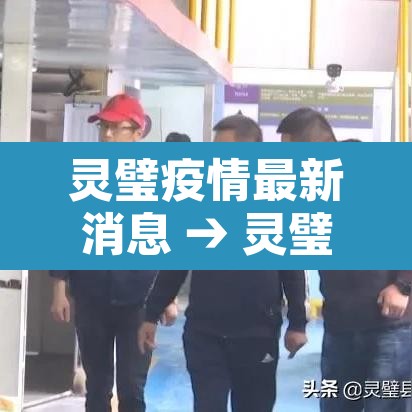 灵璧疫情最新消息 → 灵璧县疫情情况