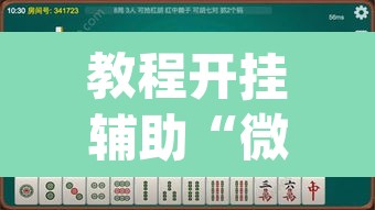 教程开挂辅助“微乐湖南麻将怎么开免费的挂	”(透视挂)辅助透视教程