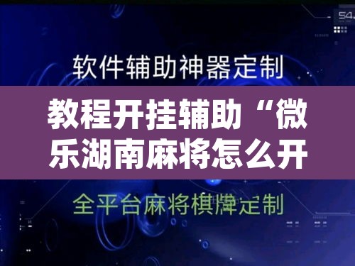 教程开挂辅助“微乐湖南麻将怎么开免费的挂”(透视挂)辅助透视教程