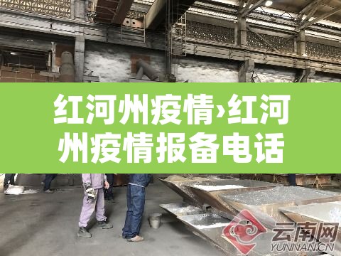 红河州疫情›红河州疫情报备电话