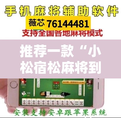 推荐一款“小松宿松麻将到底有挂吗”(透视挂)辅助透视教程