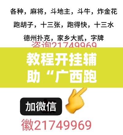 教程开挂辅助“广西跑胡子透视挂	”(透视挂)辅助透视教程