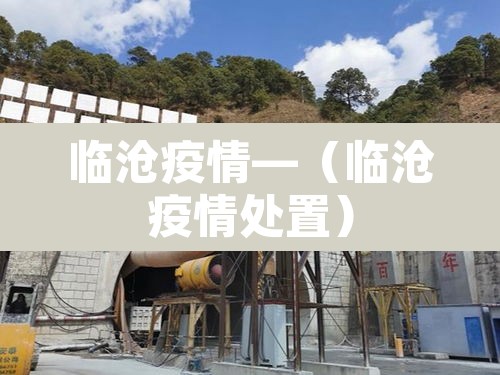 临沧疫情—（临沧疫情处置）