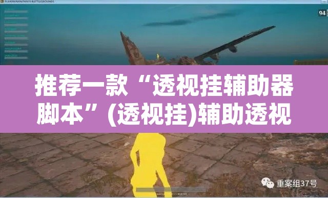 推荐一款“透视挂辅助器脚本”(透视挂)辅助透视教程