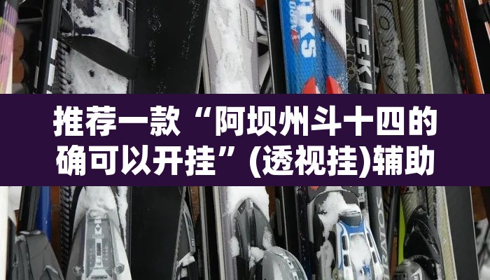 推荐一款“阿坝州斗十四的确可以开挂”(透视挂)辅助透视教程