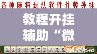 教程开挂辅助“微乐四川麻将免费挂下载”(透视挂)辅助透视教程