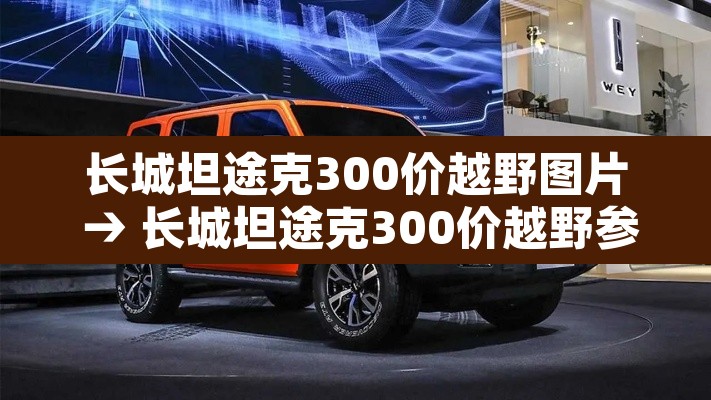 长城坦途克300价越野图片 → 长城坦途克300价越野参数