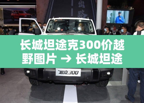 长城坦途克300价越野图片 → 长城坦途克300价越野参数