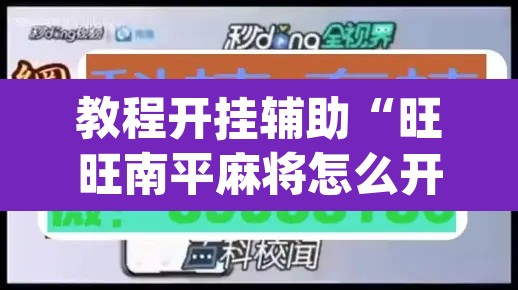 教程开挂辅助“旺旺南平麻将怎么开挂”(透视挂)辅助透视教程