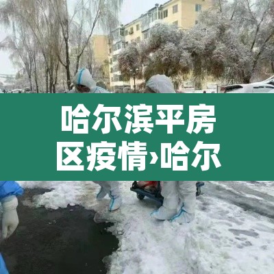 哈尔滨平房区疫情›哈尔滨平房区疫情风险等级今天消息