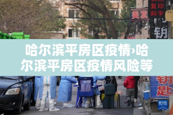 哈尔滨平房区疫情›哈尔滨平房区疫情风险等级今天消息