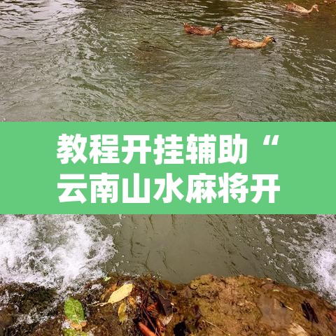 教程开挂辅助“云南山水麻将开挂多少钱”(透视挂)辅助透视教程