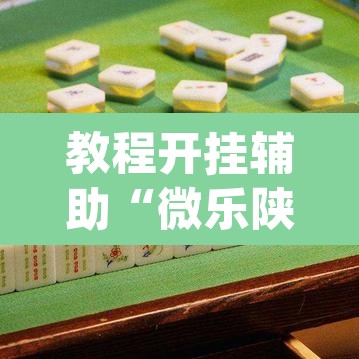 教程开挂辅助“微乐陕西麻将开挂教程”(透视挂)辅助透视教程