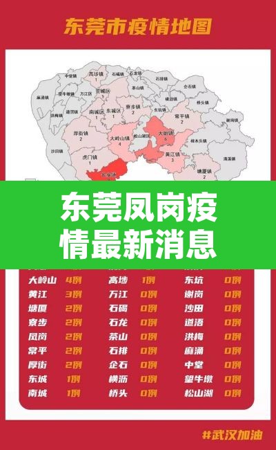东莞凤岗疫情最新消息›东莞凤岗疫情风险等级