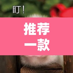 推荐一款“胖猪竞技如何装挂”(透视挂)辅助透视教程