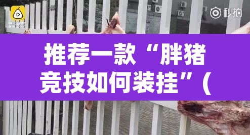 推荐一款“胖猪竞技如何装挂	”(透视挂)辅助透视教程