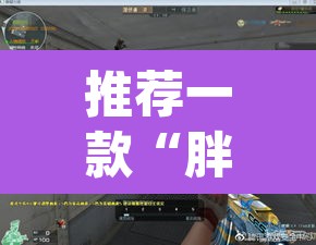 推荐一款“胖猪竞技如何装挂”(透视挂)辅助透视教程