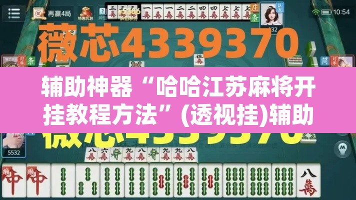 辅助神器“哈哈江苏麻将开挂教程方法”(透视挂)辅助透视教程