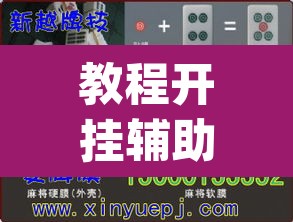 教程开挂辅助“德扑之星可以开挂真的有挂”(透视挂)辅助透视教程