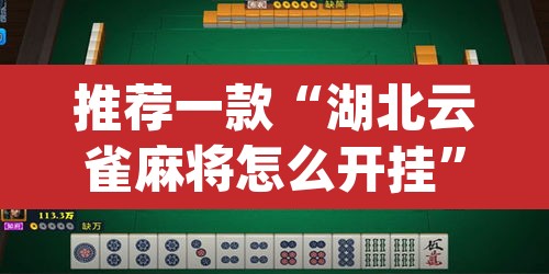推荐一款“湖北云雀麻将怎么开挂”(透视挂)辅助透视教程