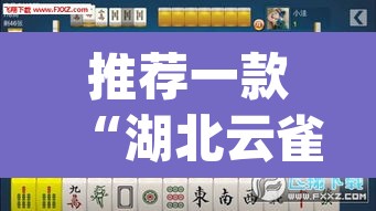 推荐一款“湖北云雀麻将怎么开挂”(透视挂)辅助透视教程
