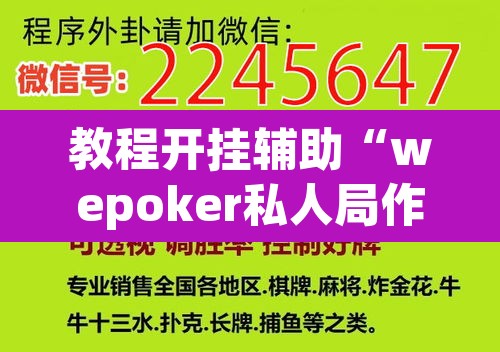 教程开挂辅助“wepoker私人局作弊透视)”(透视挂)辅助透视教程