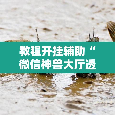 教程开挂辅助“微信神兽大厅透视安装”(透视挂)辅助透视教程