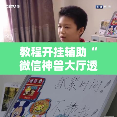 教程开挂辅助“微信神兽大厅透视安装”(透视挂)辅助透视教程