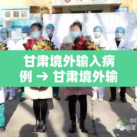 甘肃境外输入病例 → 甘肃境外输入病例有多少
