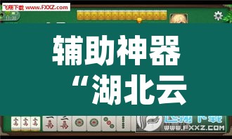 辅助神器“湖北云雀麻将确实有挂吗”(透视挂)辅助透视教程