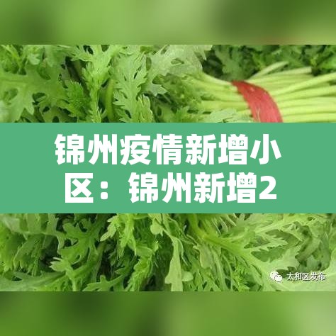 锦州疫情新增小区：锦州新增2