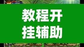 教程开挂辅助“新金龙哪里有透视挂”(透视挂)辅助透视教程
