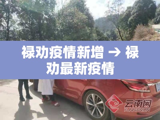 禄劝疫情新增 → 禄劝最新疫情