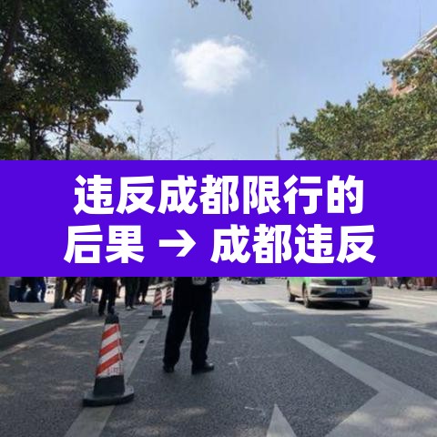 违反成都限行的后果 → 成都违反限行了扣多少分
