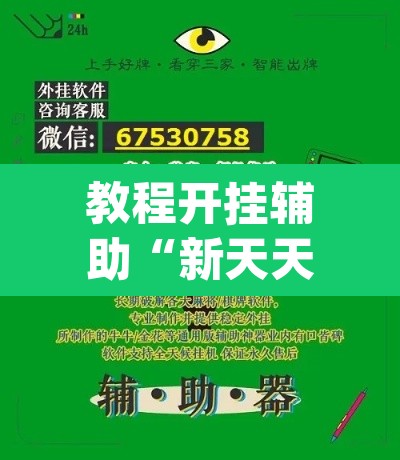 教程开挂辅助“新天天游戏可以开挂吗”(透视挂)辅助透视教程