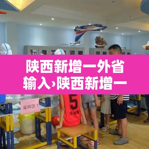 陕西新增一外省输入›陕西新增一例确诊系外省输入