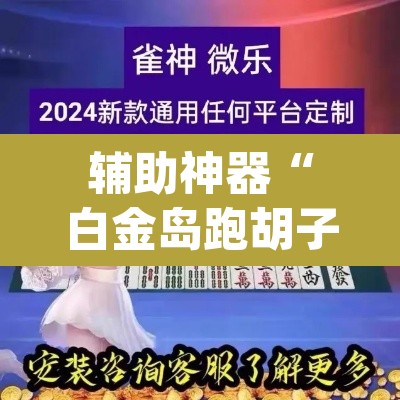 辅助神器“白金岛跑胡子当真有辅助挂吗”(透视挂)辅助透视教程